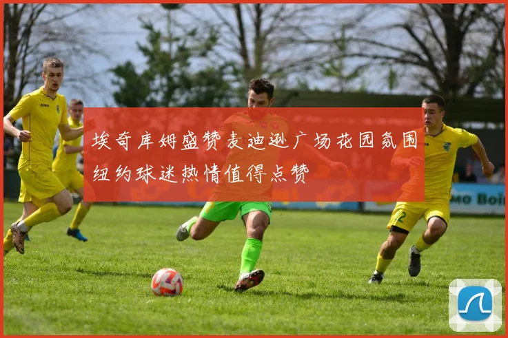 埃奇库姆盛赞麦迪逊广场花园氛围纽约球迷热情值得点赞